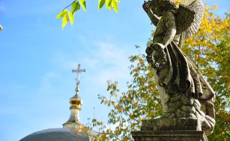 Тетяна Губська запрошує на прогулянку по некрополю 🧛‍♀️