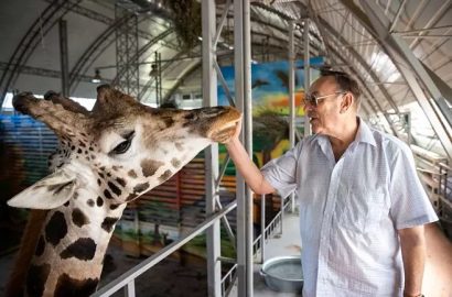 Жираф і Топчий в Миколаївському зоопарку