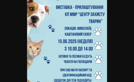Захід з прилаштування безпритульних тварин у Каштановому сквері 🐕🐈