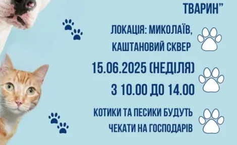Захід з прилаштування безпритульних тварин у Каштановому сквері 🐕🐈