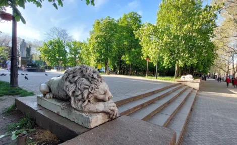 Каштановий сквер Миколаїв - Затишний куточок природи у серці міста