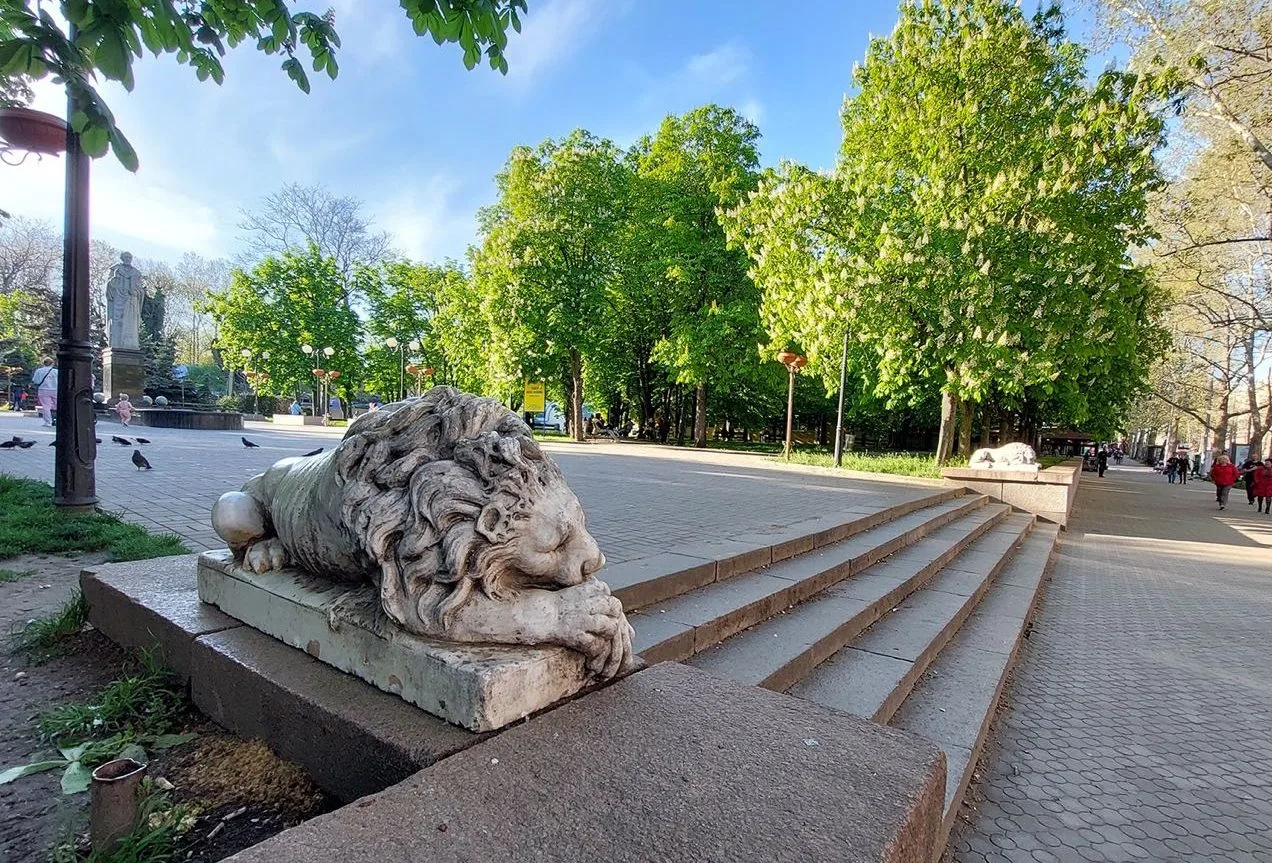 Каштановий сквер Миколаїв - Затишний куточок природи у серці міста Каштановий сквер Миколаїв - Затишний куточок природи у серці міста