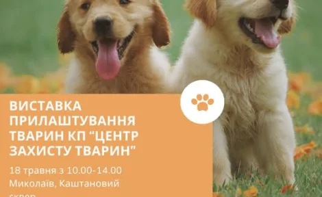 Захід з прилаштування безпритульних тварин у Каштановому сквері 🐕🐈