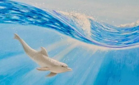 Майстер-клас “Дельфін» з Оленою Басистою🐬🐬🐬