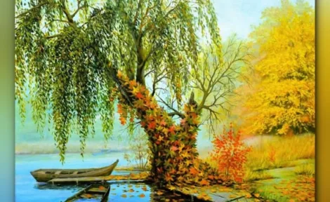 Мистецькі виставки у бібліотеках Миколаєва: від «Янгола Миру» до «Примхливого листопаду»